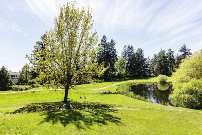 Bekas Lapangan Golf Royal Oak dijual seharga ,5 juta